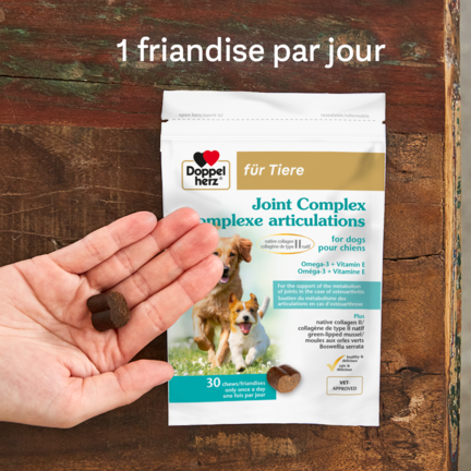 Complexe articulations pour chiens