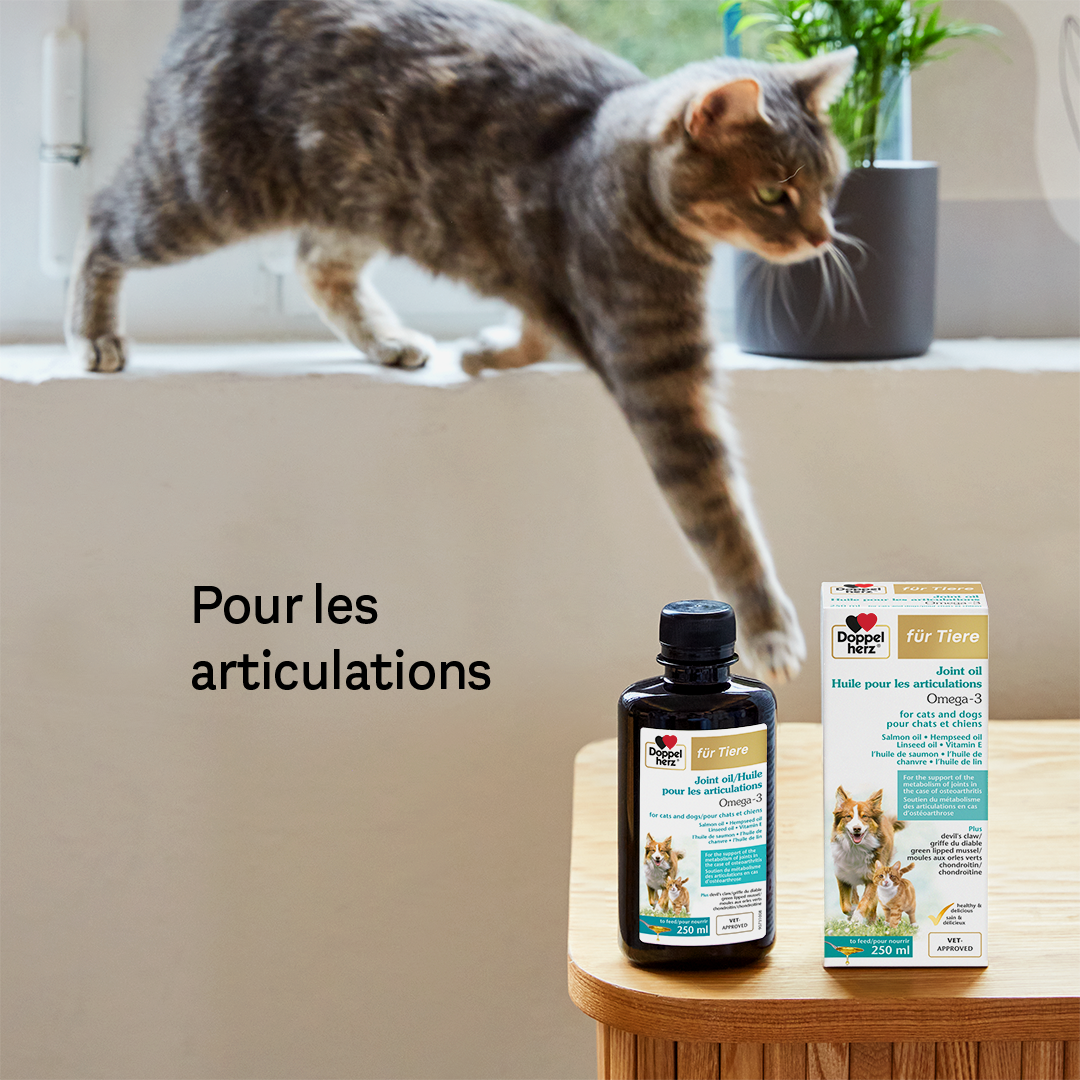 Healthy Pets - Huile De Saumon Pour Chats Et Chiens 250 Ml De