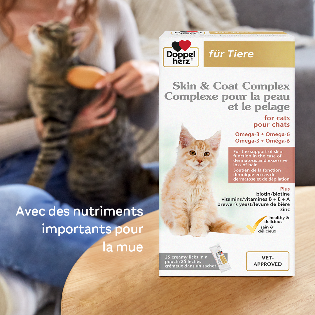 Complexe pour la peau et le pelage pour chats
